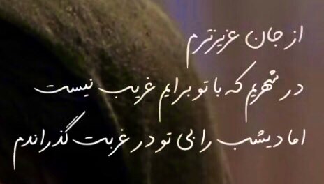 MiarSam's tweet image. 