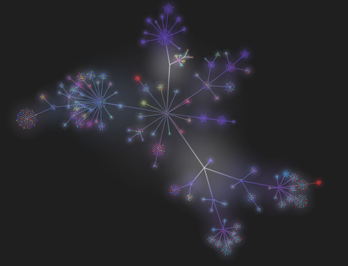 pitxardo tweet media