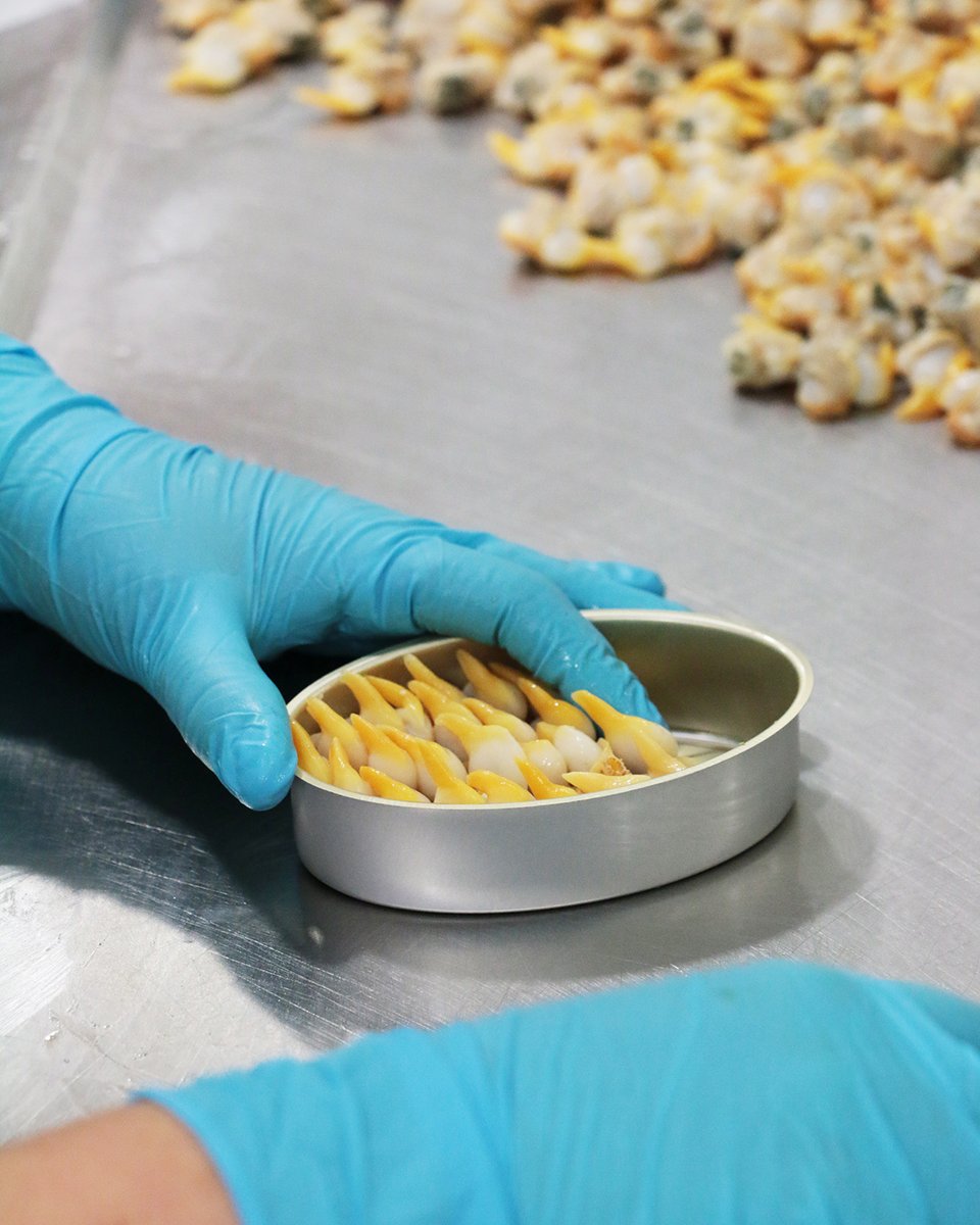 🌊 ¿Sabías que la calidad de nuestras conservas de marisco empieza con la selección a mano?

Las almejas, berberechos y navajas se extraen del mar mediante métodos artesanales y, en nuestra fábrica, cada pieza se selecciona cuidadosamente a mano.