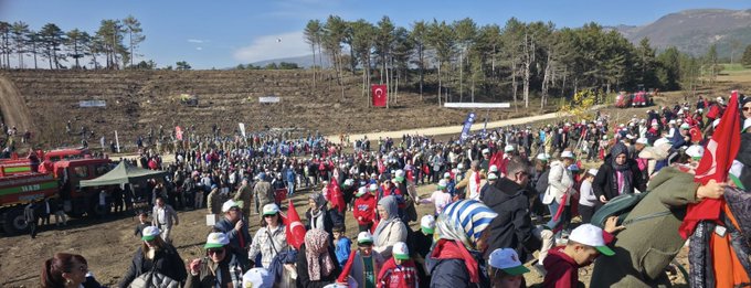 First image shows a line of adults in formal and casual attire standing in front of a banner that reads Bolu İl Millî Eğitim Müdürlüğü on a dirt area with mountains and trees in the background. Second image depicts a large crowd of people including children and adults gathered on a hillside with Turkish flags, a fire truck, and banners near pine trees and a dirt mound. Third image is a collage with panels showing groups of people on a dirt field, some holding flags, others planting trees, and a clear blue sky with mountains. Fourth image is another collage featuring close-ups of individuals including a man in a suit and woman in red jacket planting saplings with shovels and watering cans on a dirt plot surrounded by trees and a crowd in the distance.