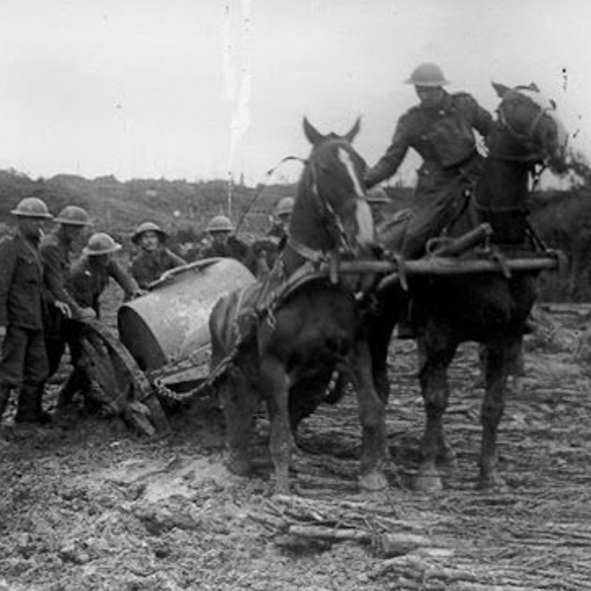 #RemembranceDay #ArmisticeDay
