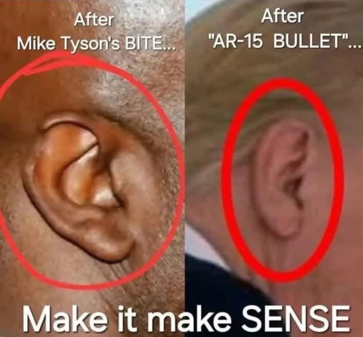 ApertureImage's tweet image. Ear, ear! #NotFitForPurpose #LockHimUp
