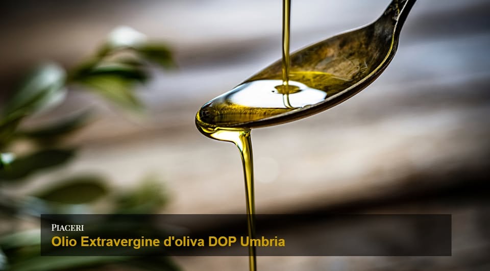 "La presentazione dell’#olio extravergine di oliva DOP #Umbria en primeur ha dato valore all’olio rimarcandone l’importanza dell’origine e del fattore umano che sta dentro ogni bottiglia".

In tempo di molitura rileggiamo l'articolo di R.Lagorio per RU25.
shorturl.at/junqE