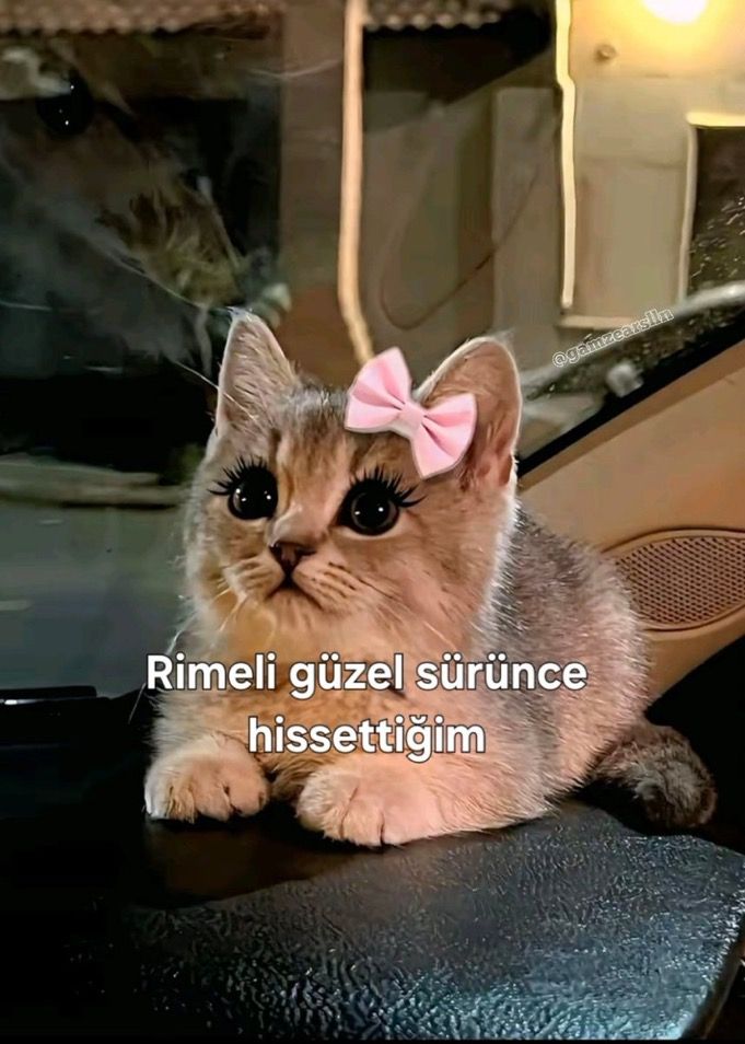 bana bişi sormayın (@kayboiduk) on Twitter photo 