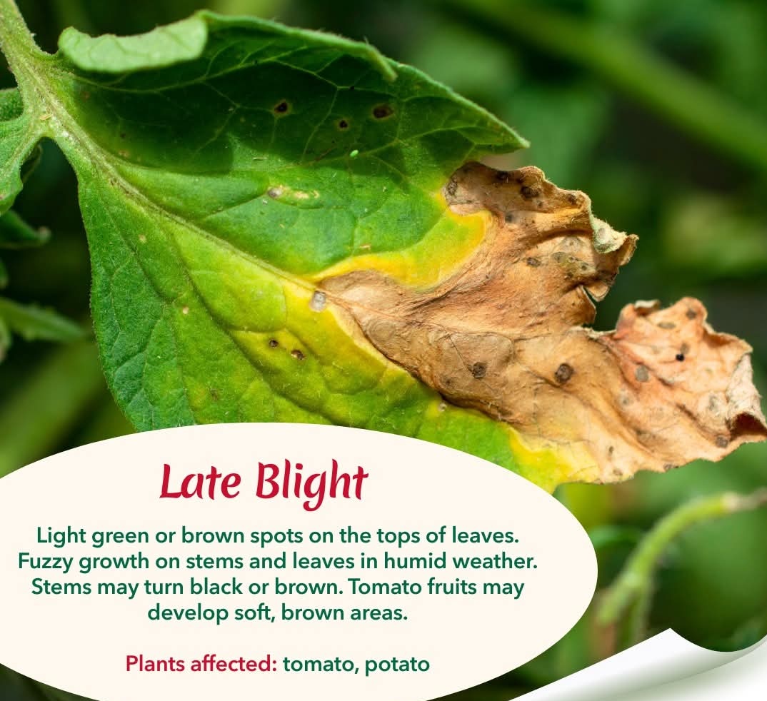 Cynthia Jera tweet media