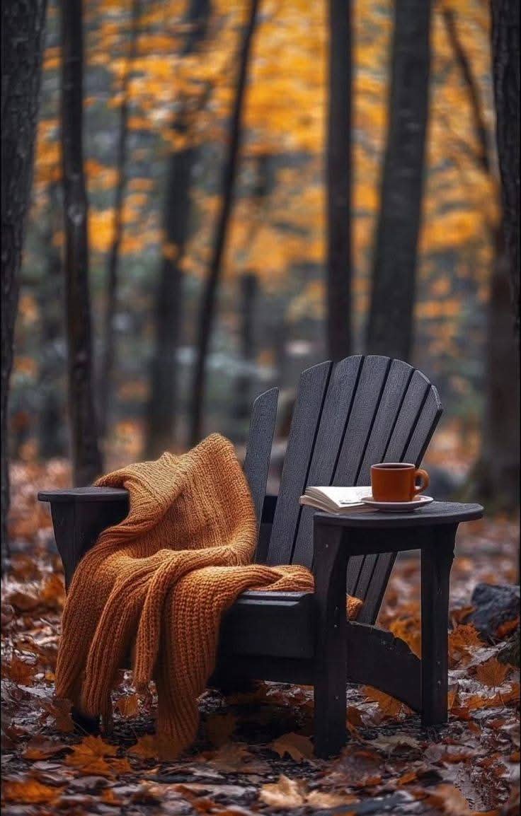 مروركم بالصدفة  بمكان قديم 🍁🍂
وتتابعوا الطريق 
هو لحظة شفاء ..