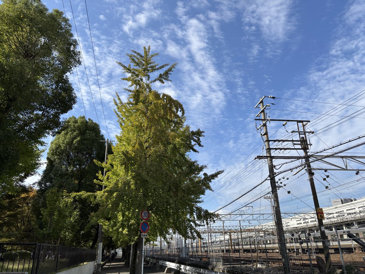 歩け歩け！

...のお散歩感覚で、

電車に揺られて...
ゆったりと時間をかけて、歯の治療クリーニングへ。

転居前の、
以前の最寄り駅から旧宅を結ぶ、いつもの往復通り道だった久々の風景。

今日は、
青い空に、陽の光が眩しい、爽快な日でした🤗