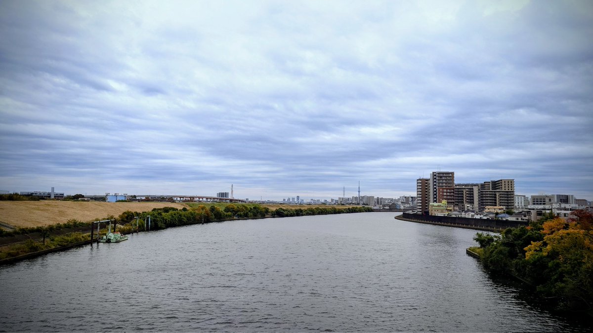 ご縁もあり、今年いっぱいの予定だったキャリアブレイクを短縮して、12月から再始動。
strava.app.link/xoL1TR1NcYb
原点回帰で、初めて50km以上走った荒川彩湖公園へ。
北風（向かい風）を避けていた道も、今日はサイコンを見ずにのんびり風景を楽しんだ。
あと20日、自由を楽しむ。🚴‍♂️🌥️

#ロードバイク