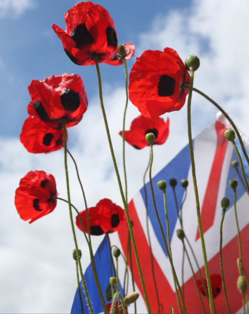 Lest we forget. 

Today, we honour and remember the sacrifices of our heroes on Remembrance Day.