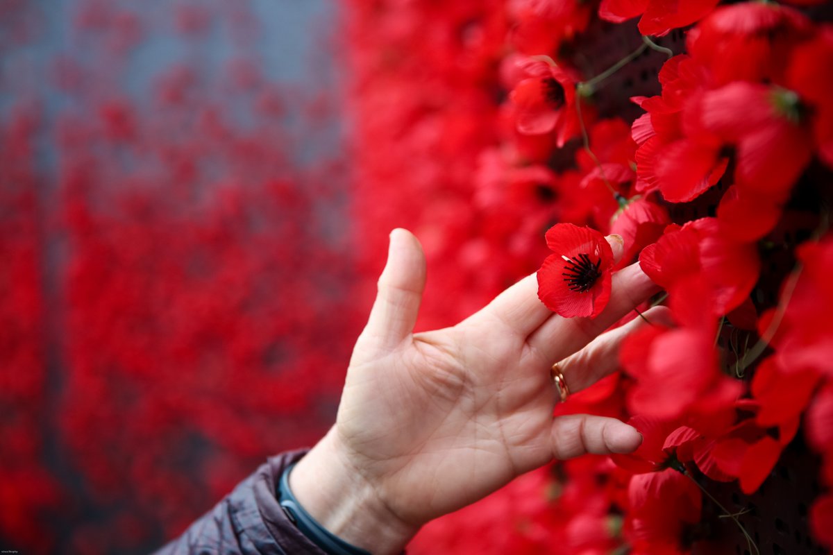 MotabilityOps's tweet image. Today we remember and honour all who have served and continue to serve  in the Armed Forces. We’re proud to support many veterans and serving members of the forces through the #motabilityscheme, helping them access freedom and independence.

We will remember them.