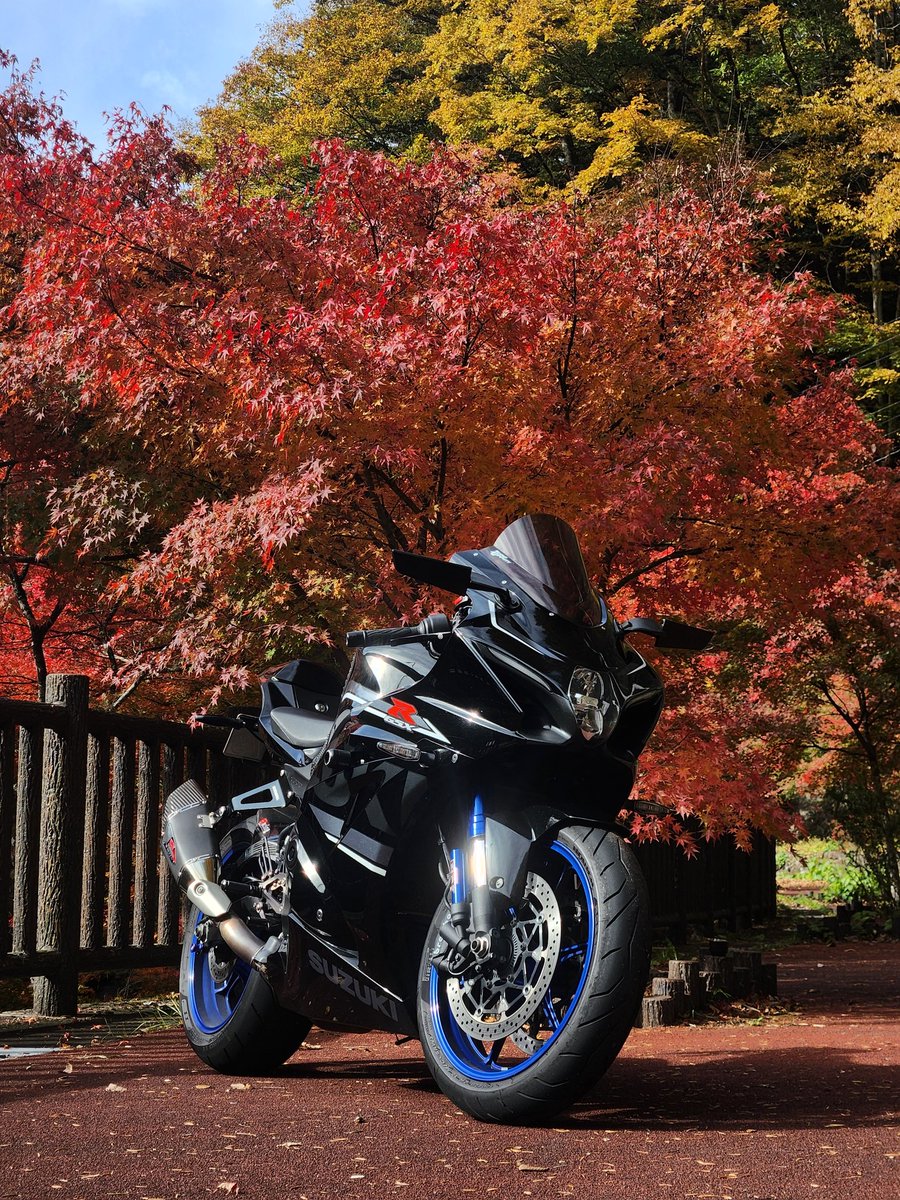 ちと早かった…週末いい感じかな？
紅葉は綺麗だった🍁