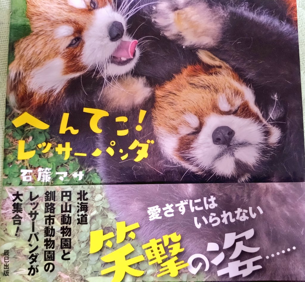 パンダ（感謝） もみじーぬ on X