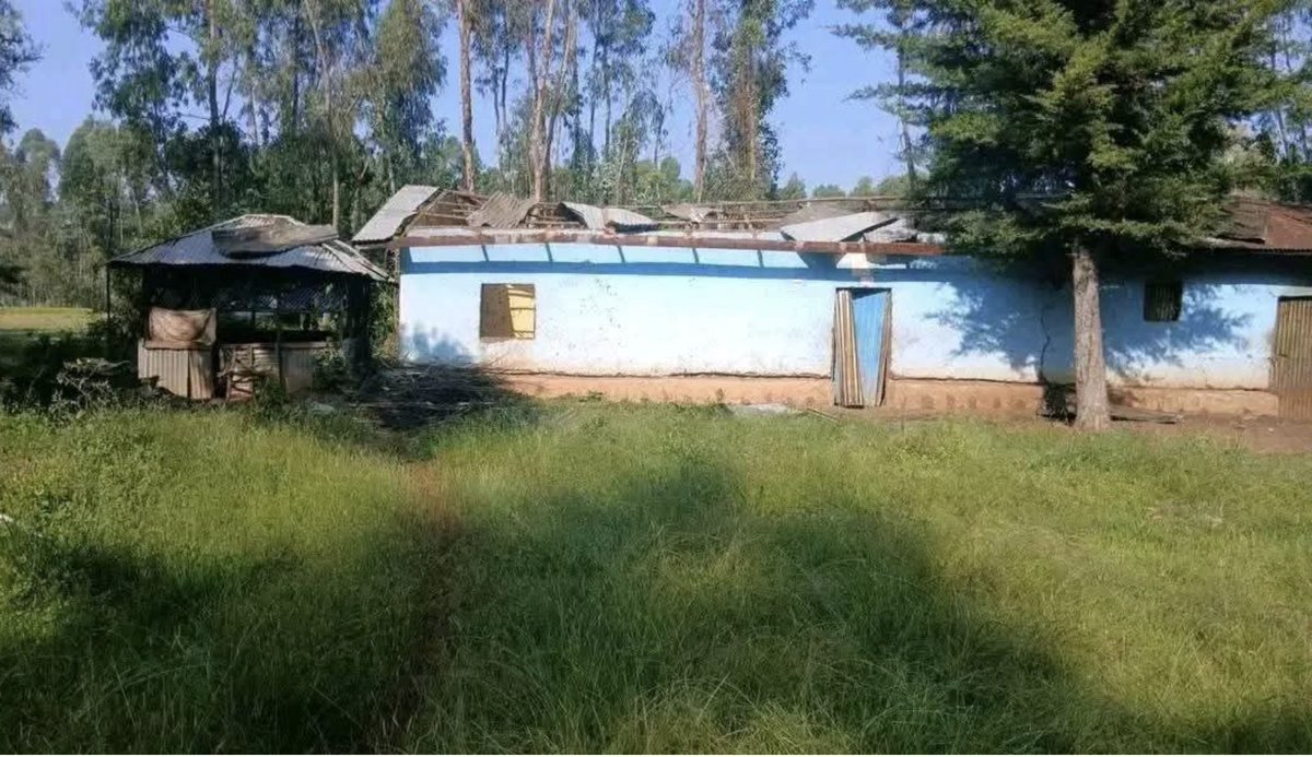 Ethiopia: Following repeated defeats by Fano forces, the government is reported to have launched waves of drone attacks targeting civilians and public facilities, including schools. Agut Primary School in Sekela Woreda, Amhara Region, was among those hit