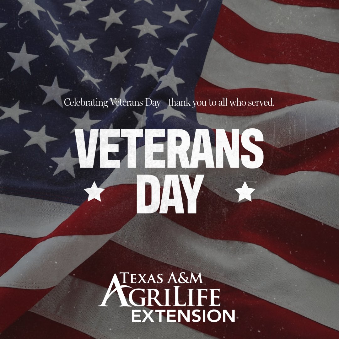 Today, we honor and thank all who have served our country.

At AgriLife Extension, we are grateful for the courage and dedication of our veterans and their families. Your service protects our freedoms and strengthens our communities every day.