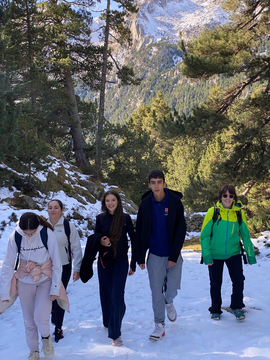 Institut Pere Ribot tweet media