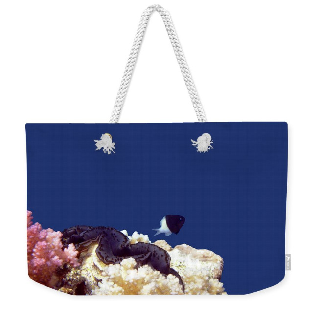 HurmerintaArt's tweet photo. Weekender bags are the best.
Come and have a look at my designs.
#giftidea #weekenderbags #largebags
https://t.co/TbNFGBdBXx https://t.co/H6isQvxrs4