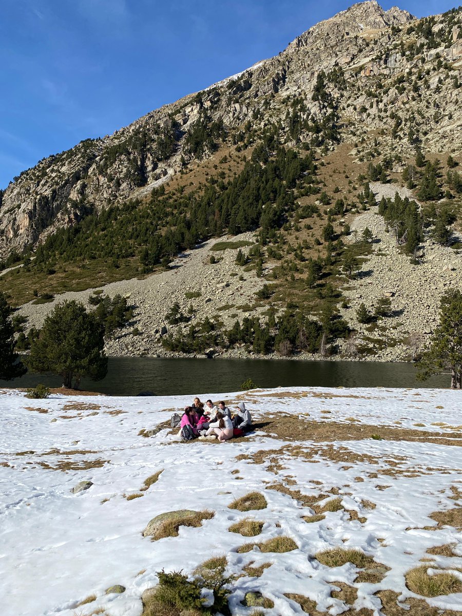 Institut Pere Ribot tweet media