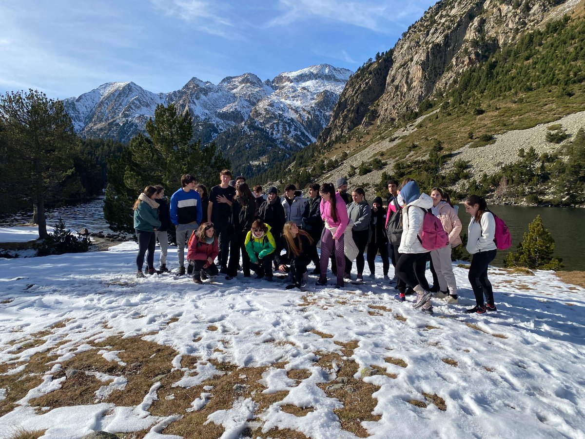 Institut Pere Ribot tweet media