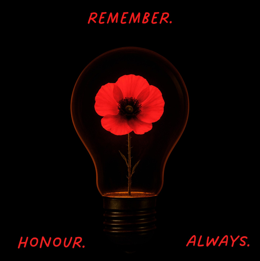 Why remember?
To remind us of the cost of war - and to honor our Veterans, those with us and those departed.
We remember. Always.