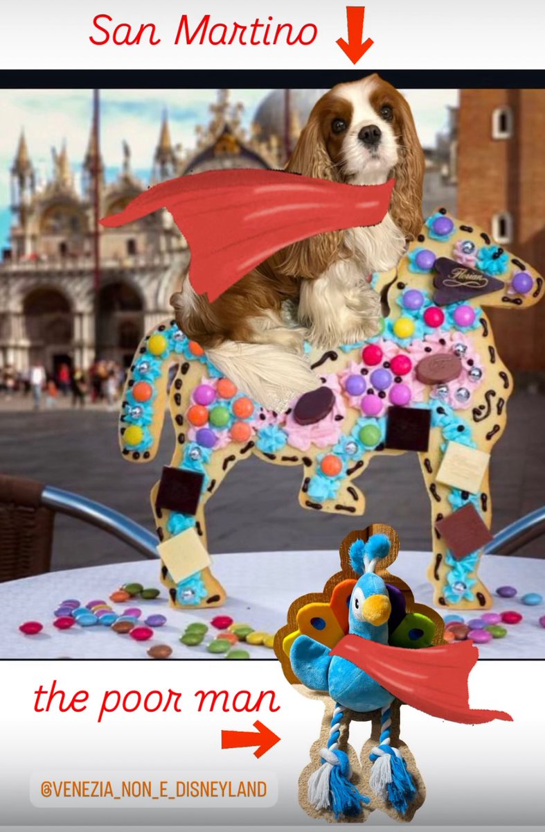 This is the history / legend of #SanMartino… and I want to tell it to the world… 🤗
In the last pic I was performing it with my pal Gedeone the peacock 🤪
Do you like it? 😉
#CavalierKingCharlesSpaniel 🐶