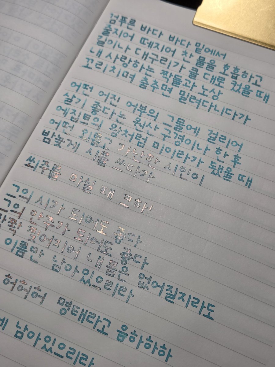 🌌 오현명  명태
🌌 도미넌트인더스트리  블뢰즈 아탕쿠르
#사락사락필사
이 잉크가 물결 위 햇살 같아 보일 때가 정말 좋다