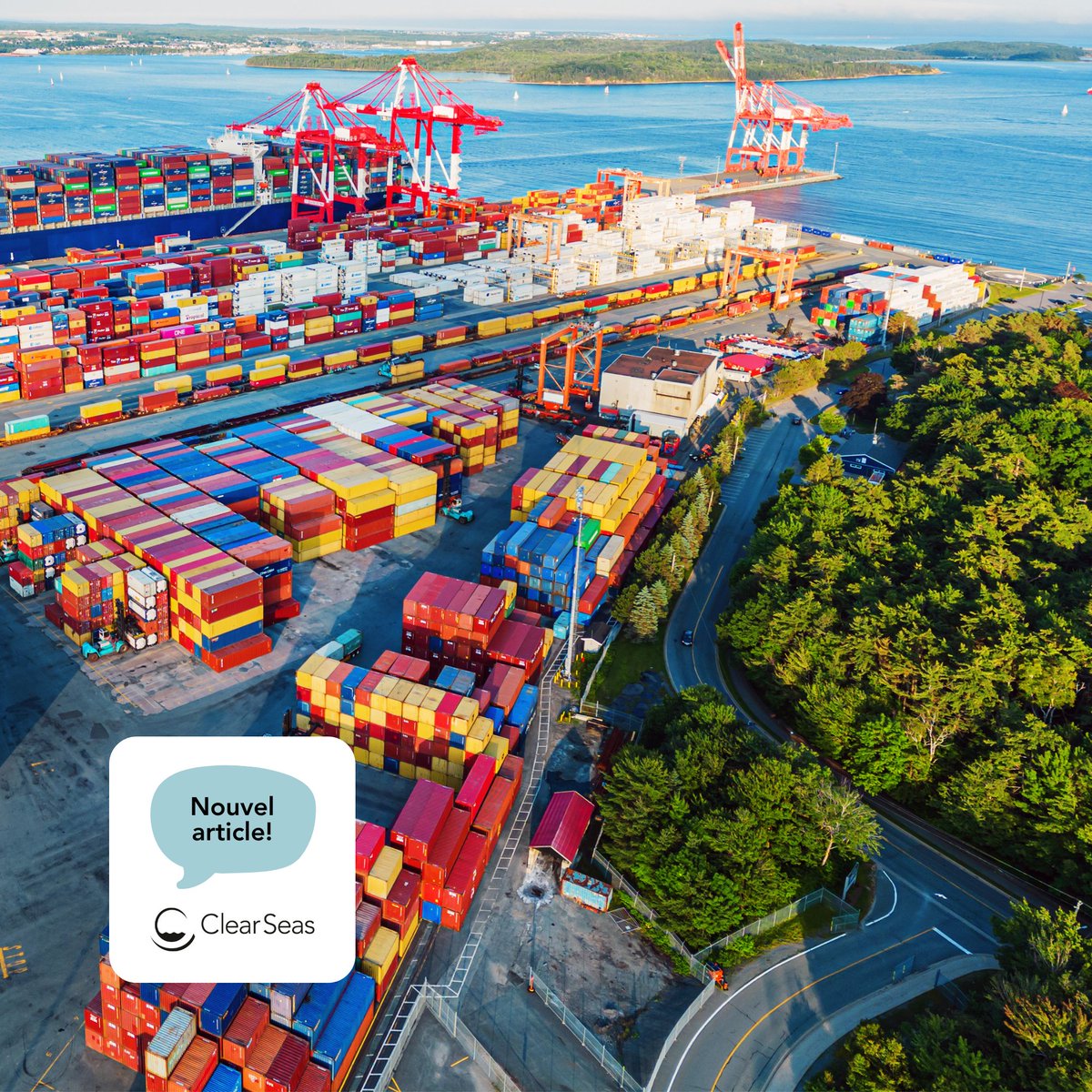 Clear Seas tweet media