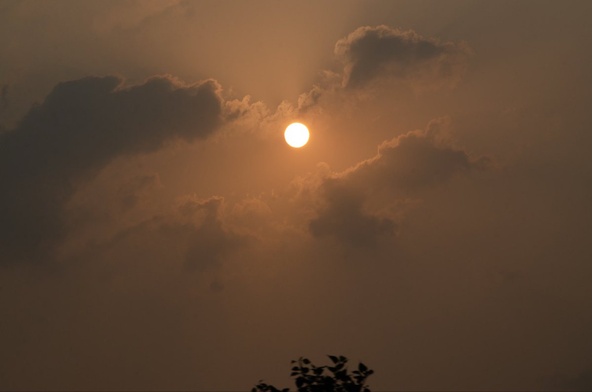 ريتاج الصليمي tweet media