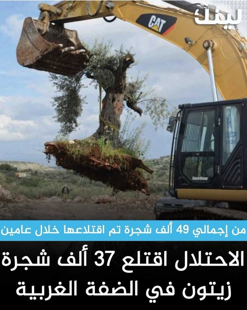 مجرمو الحرب أعداء السلام يقتلعون آلاف أشجار الزيتون في الضفة الغربية.
#الكيان_الصهيوني_إرهابي_مجرم