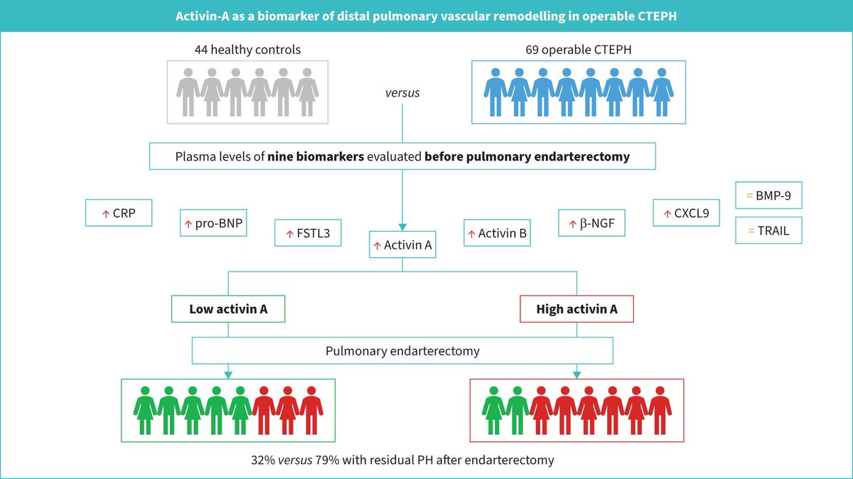 Montani David tweet media