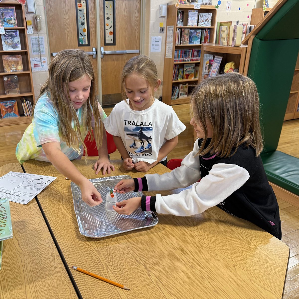 LUFSD_Libraries's tweet image. Daniel library is a hub of innovation! Kindergartners are engineering pumpkin gates, and 3rd graders are collaborating to "Save Fred." So much hands-on problem-solving! @LindenhurstUFSD #LUFSD