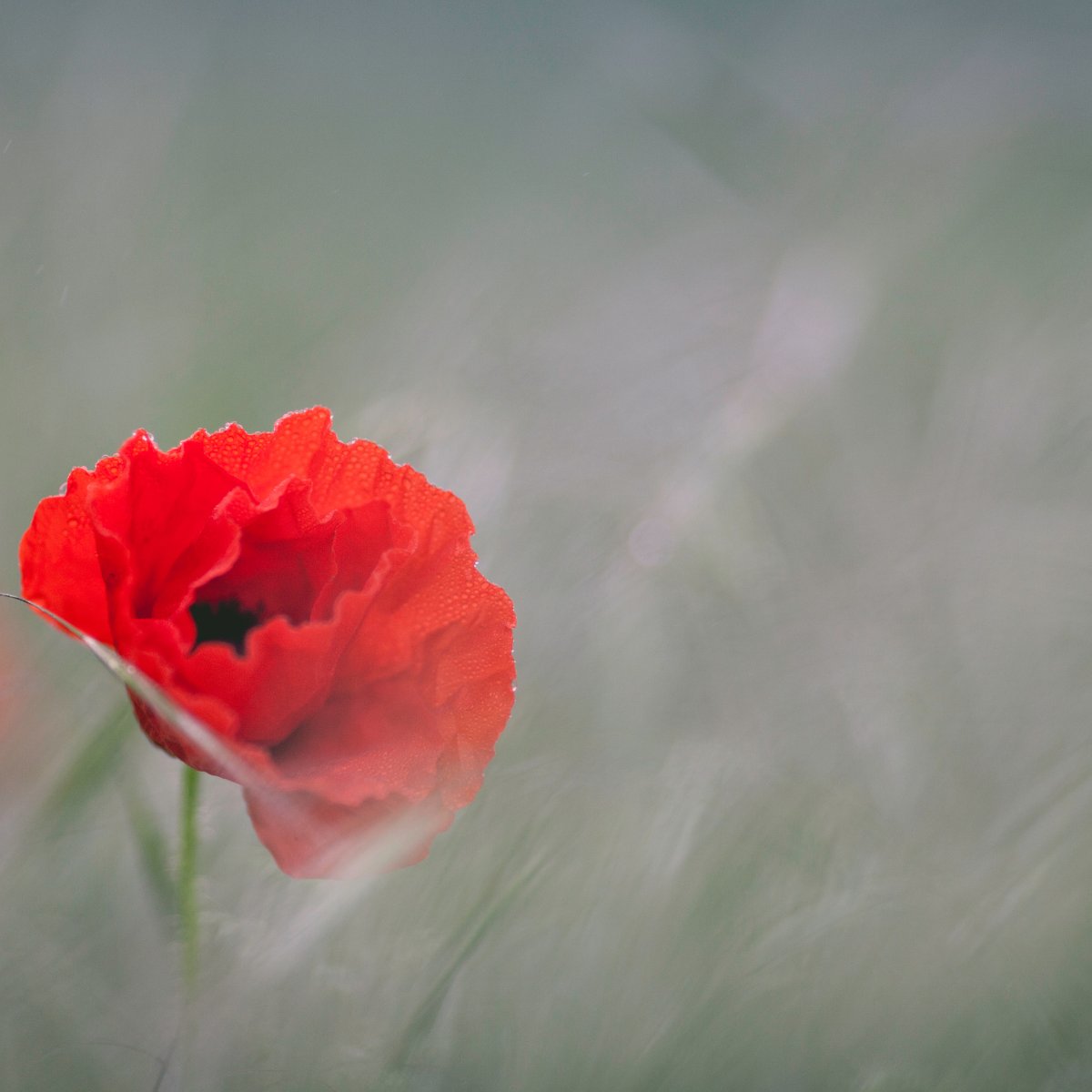 FreightPath tweet media