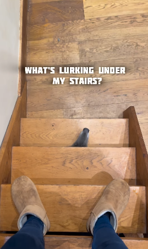 𝕵𝖔𝖍𝖓 🍊 𝕱𝖔𝖝~ tweet media