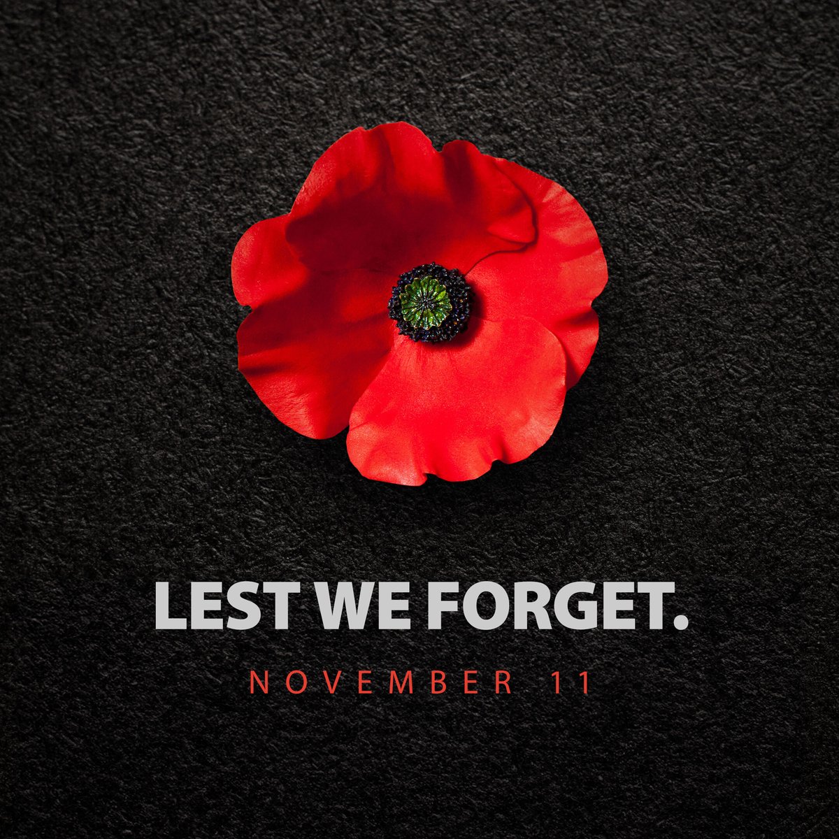 In honour of the fallen, in gratitude for their sacrifice. Today and always, we remember.