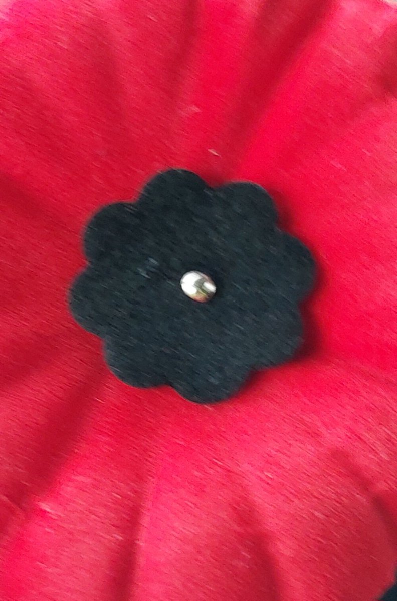 Remembrance Day Ceremonies are occurring in Kingston today on King St W at the main cenotaph and in City Park. There will be road closures in the area to keep all participants safe between 8am-12pm ^JB #RemembranceDay