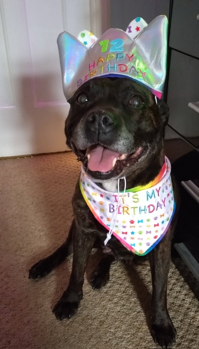 Auntiesella tweet media