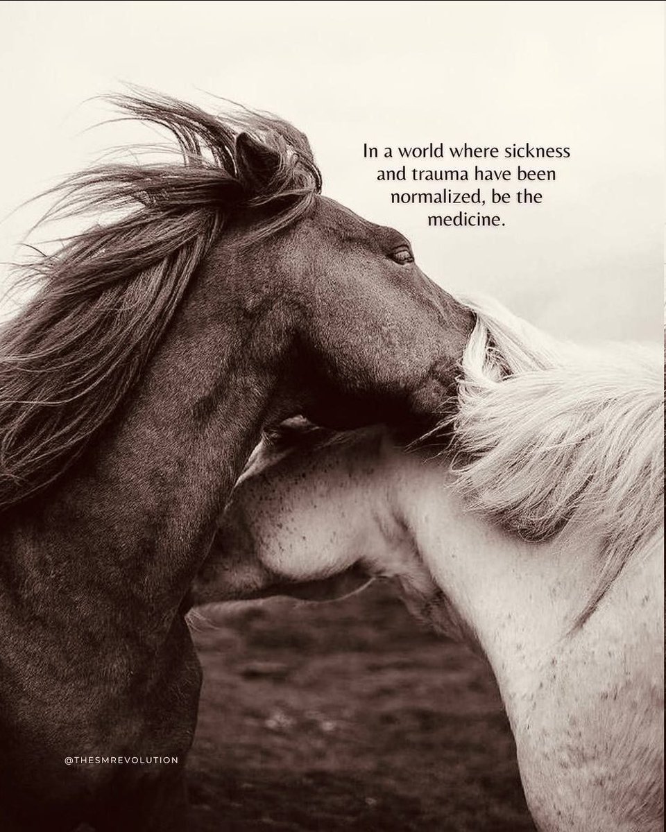 Enjoy your evening everyone ✨💛