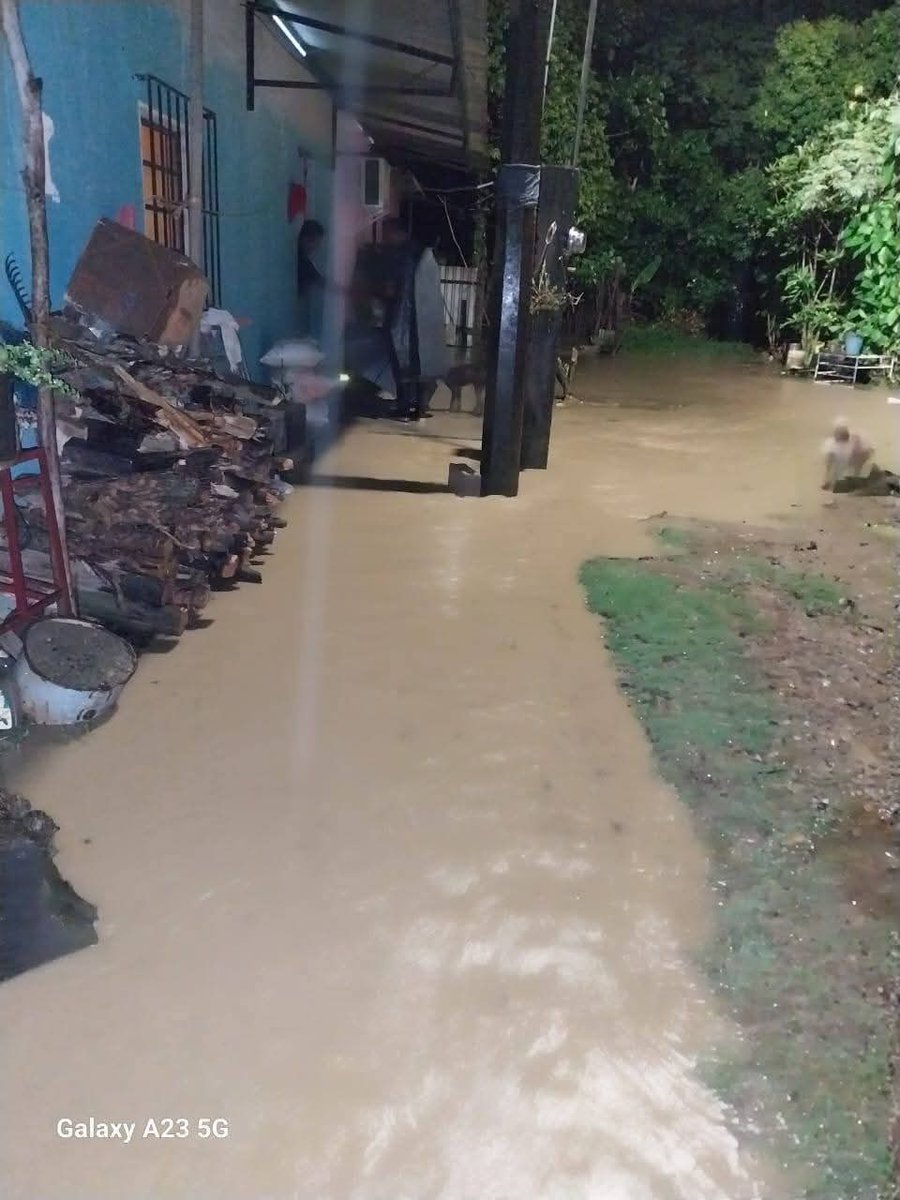 ReporteTab's tweet image. Amanece #Tacotalpa con ríos al borde de su nivel. Las intensas lluvias del Frente Frío No. 13 provocaron incrementos en el Río Oxolotán, mientras que en el Río Puxcatán se ha comenzado a desbordar por las zonas más bajas. El Río Amatán en la mira también.

#RT #Tabasco