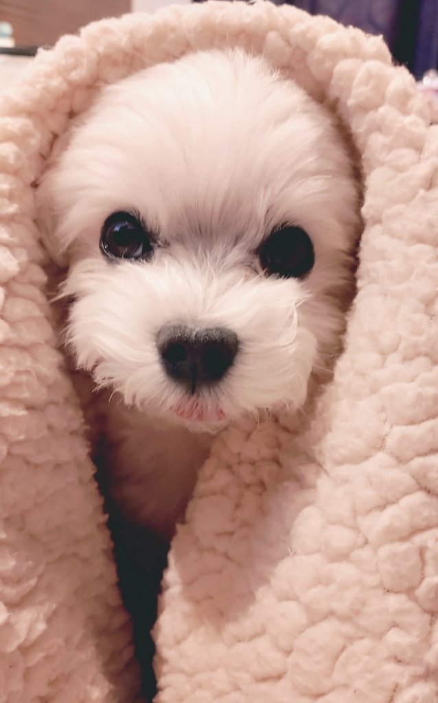 にこまる (@6yQgZFNMNk76215) / Posts / X