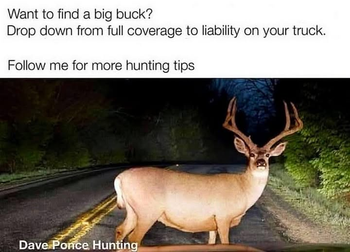 BuffaloRon (@buffaloron) on Twitter photo 