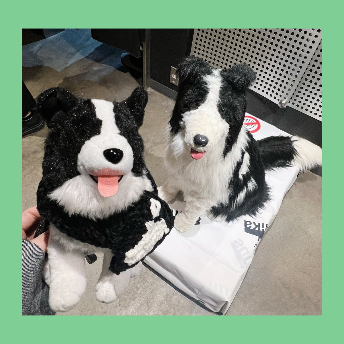 ̗̀☾ともよ_ 11/11🏡 on X