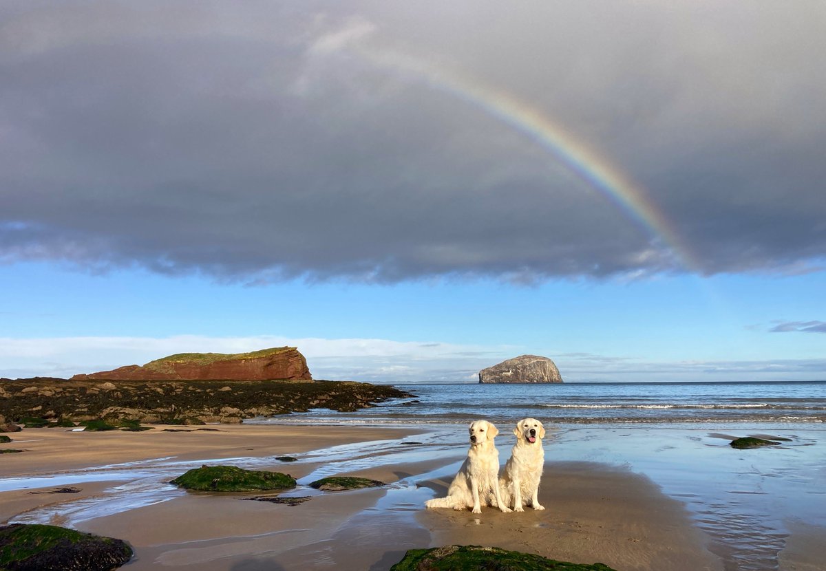 M 💚🤍💜 🏴󠁧󠁢󠁳󠁣󠁴󠁿 tweet media