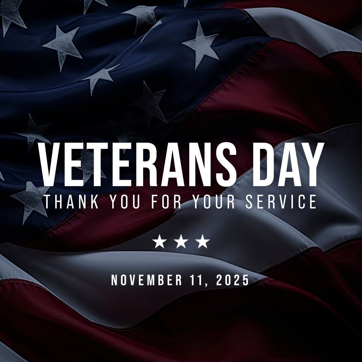 Today, we honor those brave men and women
whose courage and sacrifice protect the freedoms we hold dear.

We’re proud that Florida stands as the only state in the nation where both the Governor and Lieutenant Governor are veterans.

🇺🇸 Happy Veterans Day — and thank you to all