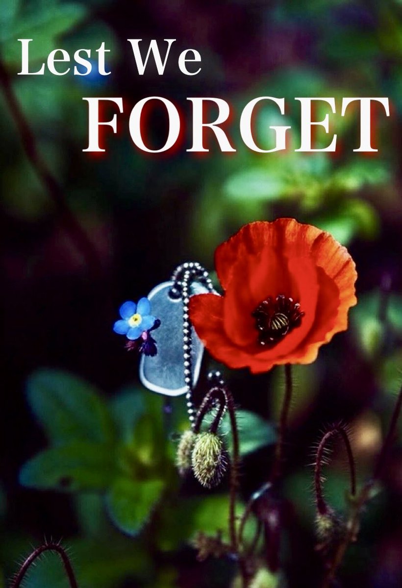 College of Registered Nurses of NL tweet media