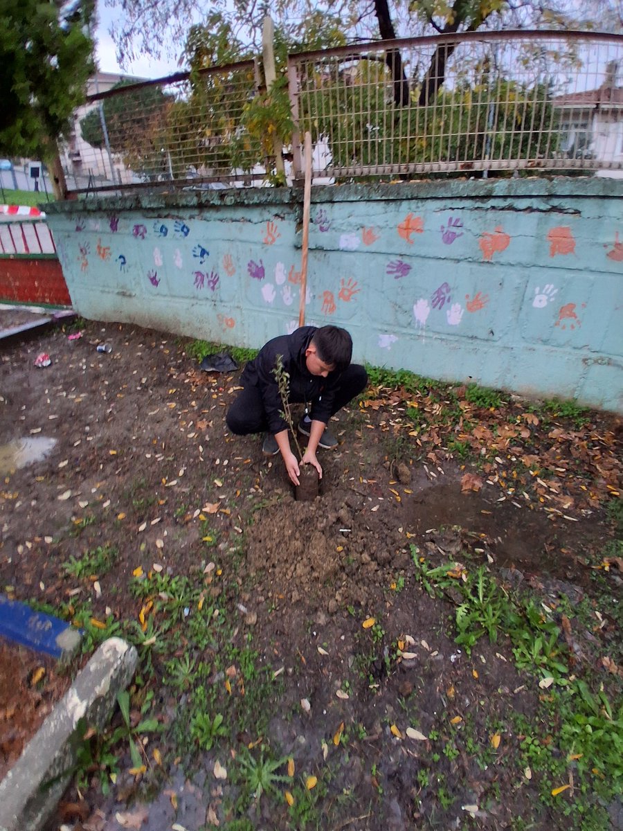 MerkezOrtaokul's tweet photo. 🌱 Boy Veren Fidanlardan Kök Salan Ağaçlara, “Yeşil Vatan” Çocuklarımıza Emanet 🌳

#AtatürktenİlhamlaYeşilVatan 
#GeleceğeNefes
@MalkaraMem @kemal_059 https://t.co/Vt3Ca3sEs7