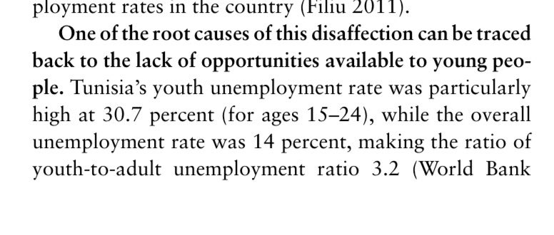 To put a specific data point on this - right before Tunisia kicked off the Arab Spring, the youth unemployment rate was around 31%