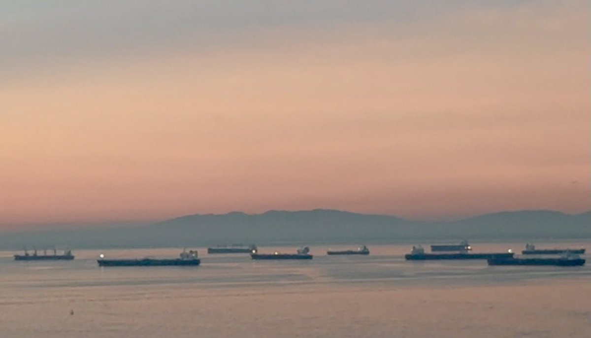 ReiterLab's tweet image. Good morning, Bay! I’m up early to head out to University of Florida @uflorida and Daniel Kopinke ⁦@KopinkeLab⁩. I hope to see you at the Dept of Pharmacology seminar Wednesday!