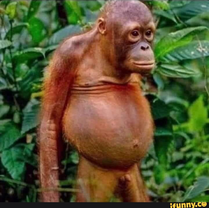 Quagmire1428 Gaming tweet media