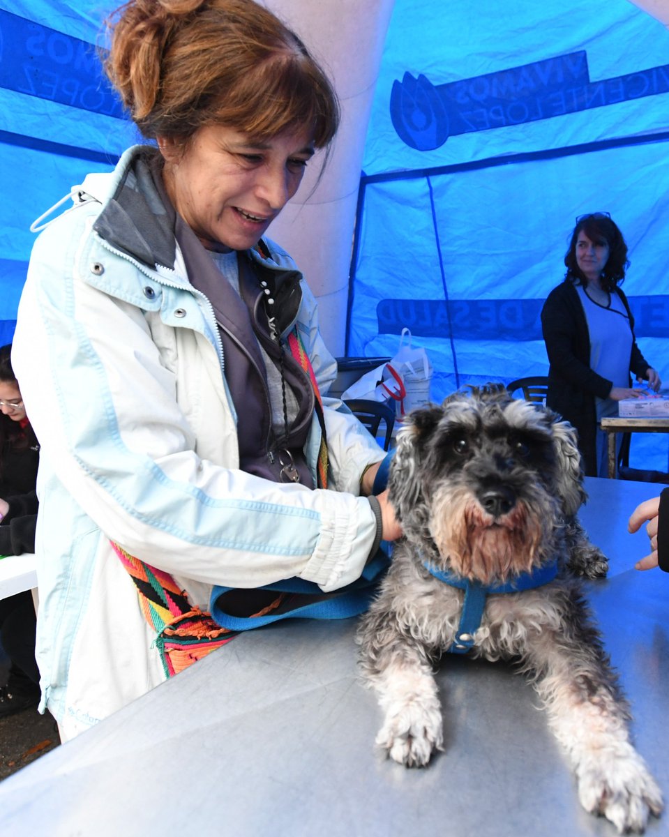 Este miércoles 12 de noviembre, el equipo de zoonosis estará realizando una jornada de vacunación antirrábica y desparasitación en Villa Martelli. Acercate con tu animal de compañía a la plaza León A. Vienni, de 9 a 13 horas. 

👉La actividad es sin cupos. Se cancela por lluvia.