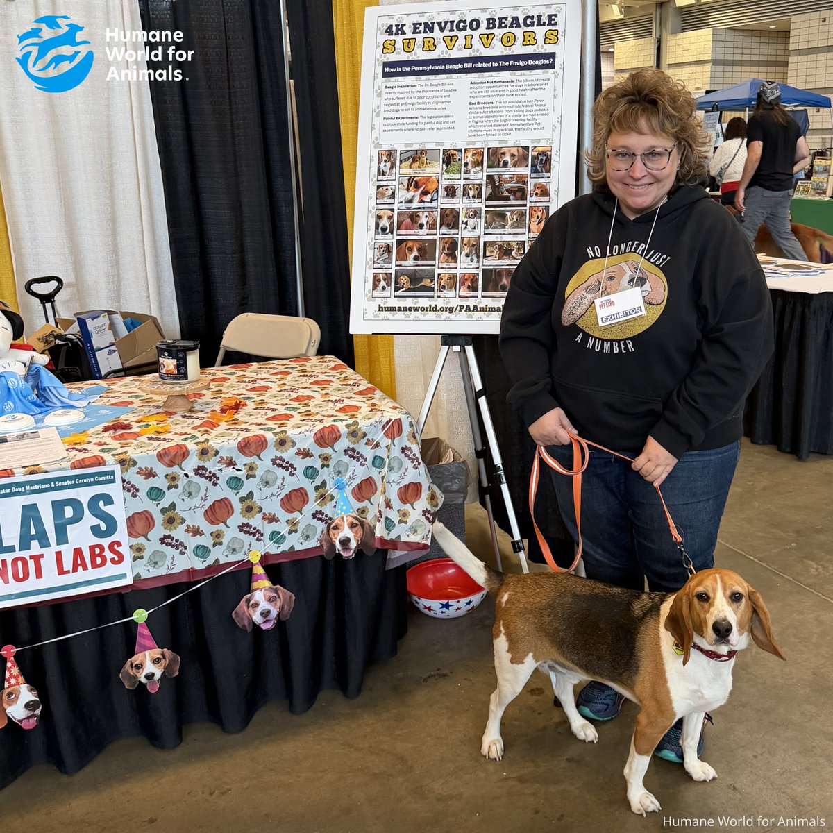 humaneworldeat's tweet photo. There is nothing like a beagle kiss! 💋

Thanks to the @humaneworldorg volunteers &amp; pups (rescued from Envigo’s Virginia lab breeding facility) who helped educate people about PA’s Beagle Bill at the Pittsburgh Pet Expo! 🐶

If you live in PA, take action: https://t.co/RojrdugMKV https://t.co/NWO6pwIUl6