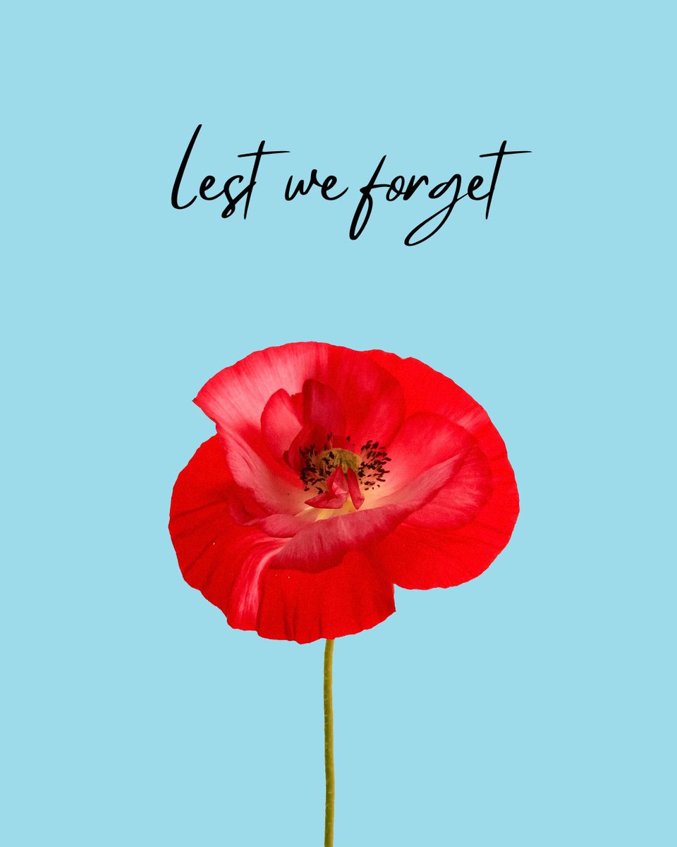 Today, we pause to remember the brave men and women who served and sacrificed for our freedom.

Lest we forget.

#RemembranceDay #LestWeForget #CanadaRemembers